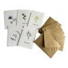 Seeded Thank You Cards Multipack (Pack of 5) – Handmade Wildflower Seed Paper Greeting Cards with Kraft Envelopes – Floral Cards for Weddings, Baby Showers, Teachers