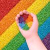 Sensory Play Rice for Kids, 6 Pack (6 lbs Total), 6 Individually Sealed 1 lb Bags, Non-Toxic Colored Rice for Sensory Bin Fillers, Fine Motor Activities, Crafts & Learning Play