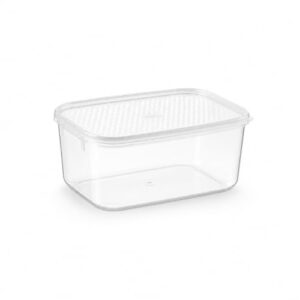 Set of 2 Oblong Food Storage Container Airtight Freezer Safe Clear 1.9 qt