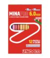 SEVEN Minapro School Crayons 6.0 – Box of 12 Colours, 12 Colouring Pencils with Customisable Name Space, Children and Youth