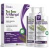 Shailee Antifungal Body Wash with Tea Tree Oil | Eczema Body Wash Treats Ringworm, Back Acne & Jock Itch | Antifungal Soap For Men And Women with 1% Tolnaftate (16.9 Fl Oz Pack of 2)