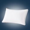 SHOUREN Goose Down Pillows King Set of 1, Pillow with Gusseted, 18 * 34"