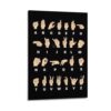Sign Language Asl Alphabet Educational Poster Canvas Wall Art Decorative Paintings for Living Room Bedroom Home Decor 16x24inch
