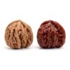 Skimsklo Natural Chinese Wenwan Walnuts Pair, Hand-Picked Collectible Baoding Balls for Hand Exercise, Stress Relief Fidget Toy and Meditation