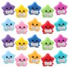 Skylety 100 Pcs Perfect Attendance Resin Star, Perfect Attendance Awards for Student from Teacher Classroom Prizes Motivational Brag Awards for Back to School Students Classroom Incentives
