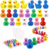 Skylety 24 Pcs Back to School Mini Resin Ducks Motivational Students Reward