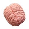 Slow Rising Toys, Stress Ball Toy, Rise Squeeze Compact Sensory Toy, Brains Squishier Stretchy Squeeze Ball Stress Relief & Fidgety Parties Favor Stuffers Gifts
