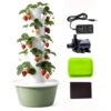 Smart Hydroponic Tower: 20-36 Pods Auto-Growing System for Herbs