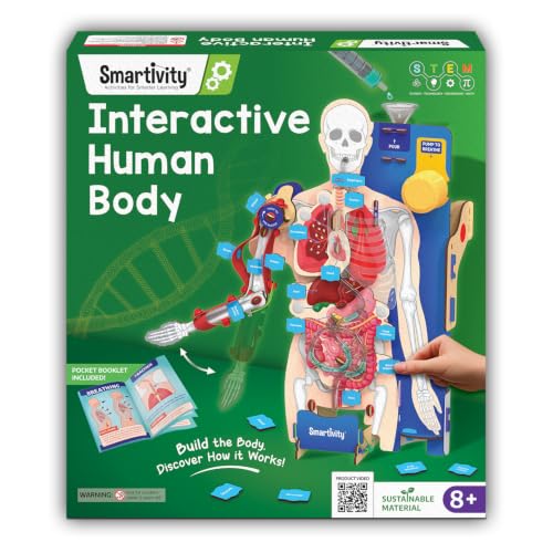 Smartivity Interactive Human Body Model for Kids 8-14 Years I Dynamic Body Parts & Organs + Learning Booklet | Birthday Gift for Boys & Girls | Educational Toy for 8,9,10,11,12,13,14 Years