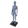 Socobeta Female Human Anatomy Model 27cm Durable Resin Craftsmanship for Classroom Teaching and Artistic Reference
