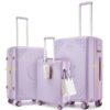 Somago Carry on Luggage with Cup Holder, Expandable 25% Capacity Suitcase with Shock-Absorbing Braking Spinner Wheels Hardside Suitcase with TSA Lock (Light Purple, 3 PCS Set (20in/24in/28in))