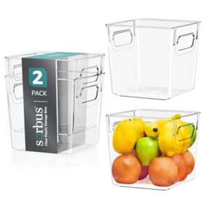 Sorbus Small Clear Plastic Storage Bins for Shelves, Clothes, with Handle - Clear Storage Bins, Drawer, Shelf, Closet, Pantry, Fridge, Freezer Organizer Bins, Closet Organizers and Storage (2 pack)