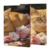 Spring Cat Sleeping with Fragrance Refillable Notebook Cover A5 Cover Only