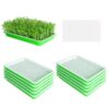 Sprouting Trays for Sprouts Soil-Free Multipurpose Sprouter