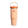 STANLEY 1913 Flip Straw Tumbler 1.0 Water Bottle with Straw 0.89L - Keeps Cold for 12+ Hours - Easy to Carry - Dishwasher Safe - Stainless Steel Thermal Flask - BPA-Free Travel Mug - Orange Sherbet