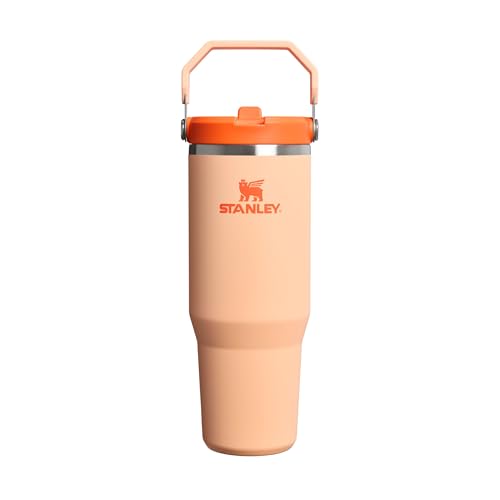 STANLEY 1913 Flip Straw Tumbler 1.0 Water Bottle with Straw 0.89L - Keeps Cold for 12+ Hours - Easy to Carry - Dishwasher Safe - Stainless Steel Thermal Flask - BPA-Free Travel Mug - Orange Sherbet