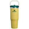 STANLEY IceFlow 2.0 Flip Straw Tumbler with Handle 30 oz | Twist On Lid and Flip Up Straw | Leak Resistant Water Bottle | Insulated Stainless Steel | BPA-Free | Daffodil Emerald