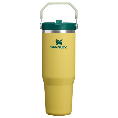 STANLEY IceFlow 2.0 Flip Straw Tumbler with Handle 30 oz | Twist On Lid and Flip Up Straw | Leak Resistant Water Bottle | Insulated Stainless Steel | BPA-Free | Daffodil Emerald