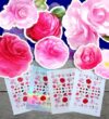 Stickers Pack (Over 150 Stickers) Bright Pink Collections of Pretty Roses Vintage Styled Small Vinyl Stickers White Hologram Transparent