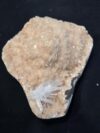 Stilbite with Scolesite Cluster Crystals and Healing Stones, Natural Rocks Stones and Crystals (1 Piece)