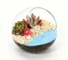 Succulent Glass Terrarium DIY Mini Landscape Kit