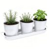 TCBWFY Indoor Herb Garden Planter Set - 3 Pack 4.7" White Metal Plant Pots with Drainage Holes & Removable Tray - Windowsill Kitchen Counter Balcony Office Garden
