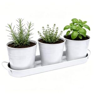 TCBWFY Indoor Herb Garden Planter Set - 3 Pack 4.7" White Metal Plant Pots with Drainage Holes & Removable Tray - Windowsill Kitchen Counter Balcony Office Garden