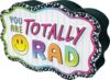 Teacher Created Resources Brights 4Ever Magnetic Whiteboard Eraser (TCR71004)