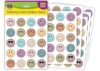 Teacher Created Resources Calming Colors Smiley Faces Stickers (TCR6986)
