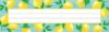 Teacher Created Resources Lemon Zest Flat Name Plates (TCR8482)