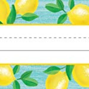 Teacher Created Resources Lemon Zest Flat Name Plates (TCR8482)