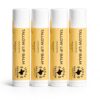 Texas Tallow Products Tallow Lip Balm Unscented-4 Pack | Natural Beef Tallow, Shea Butter, Coconut Oil, Beeswax, Vitamin E | .15oz Each