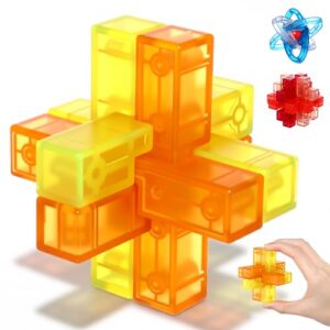 Teyva Daily Puzzle Cube Gift Acrylic Brain Teaser Puzzles for Back to School Gift Young Men Students Cool Stocking Stuffers Games Sensory Gifts Educational Logic Iq Cube Puzzle Party Favor(Basic)