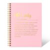 THEBESTU HR Lady Definition 160 Pages Hardcover Lined Spiral Notebook, HR Coworker Gifts for Christmas, Human Resources Appreciation Gifts for Hr Manager, Human Resources Humor Office Notebook (Pink)