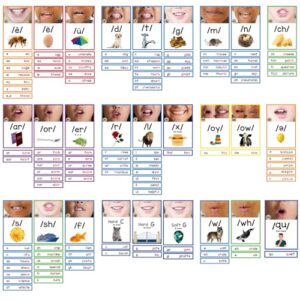 Tinlade 258 Pcs Sound Wall Classroom Phonics Posters, Vowel and Consonant Flash Cards, Phonemic Awareness Letter Sound Wall Cards for Kindergarten, Speech, Esl and Science of Reading Teaching