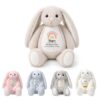 TNYKER Personalized Back to School Bunny Custom Stuffed Animal First Day of School Gifts for Kids Animal Plush Welcome to Kindergarten Gifts for Students Party Supplies