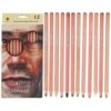 Tomedny 12 PCS Colored Charcoal Pencils Drawing Set, Pastel Chalk Pencils Art Supplies Complete Art Kit for Drawing Sketching Coloring Shading