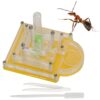 Transparent Acrylic Observation Habitat Box Educational Toy for Children