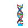 TWTCZOZ Educational Structure Spiral Teaching Model Science Display Genetics Model Structure Visual Tool Suitable for Biology Lessons Education