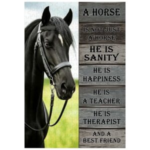 Ulord 300 Piece Puzzle for Adults Horse Therapy Quotes Puzzles 15x10 Inches