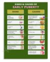 Understanding Puberty in Girls Poster Physical Emotional Changes Timeline Educational Canvas Print Living Room Bedroom Art