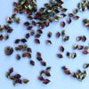 #US SequinsGold-Plated Wash Embossed Diamond Glitter (4mm x 3mm) No Hole 048