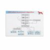 Veterinary Cpr Initial Assessment Algorithm Chart Poster Pet First Aid Wall Art Canvas Painting for Living Room Bedroom Decor 12x16 inch