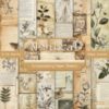 Vintage Botanical Sketch Paper Pad & Antique Wildflower Herbarium Craft Cardstock 6x6 Inch Scrapbook Paper Pad 12 Designs 24 Sheets 160gsm Cardstock for Crafting, Card Making & Journaling