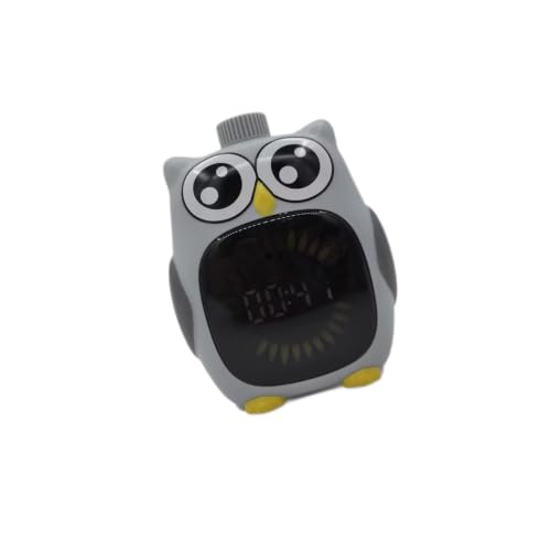 Visual Timer with Digital Countdown Display, Owl Homework Timer for Classroom Routines, Everyday Desk Time Management, and Reading Practice Visual Homework Classroom Digital Countdown Owl Desk Routine