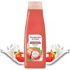 VOAH LLC Strawberries & Cream Nourishing Shampoo with Soy Milk, Paraben Free, Power of 5 Vitamins, 16.9 fl oz