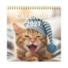 Wall Calendar Cat 2027 Kitty Photo Decorative Schedule Planner
