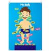 WATINC Body Parts Felt Story Board Set - 35Pcs Flannel Teaching Kit (White)
