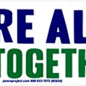 We are All in This Together - Bumper Sticker/Decal (11" X 2.75")