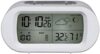Weather Station, Digital Indoor Outdoor Thermometer Hygrometer with Backlight LCD Display, Ideal for Weather Monitoring
